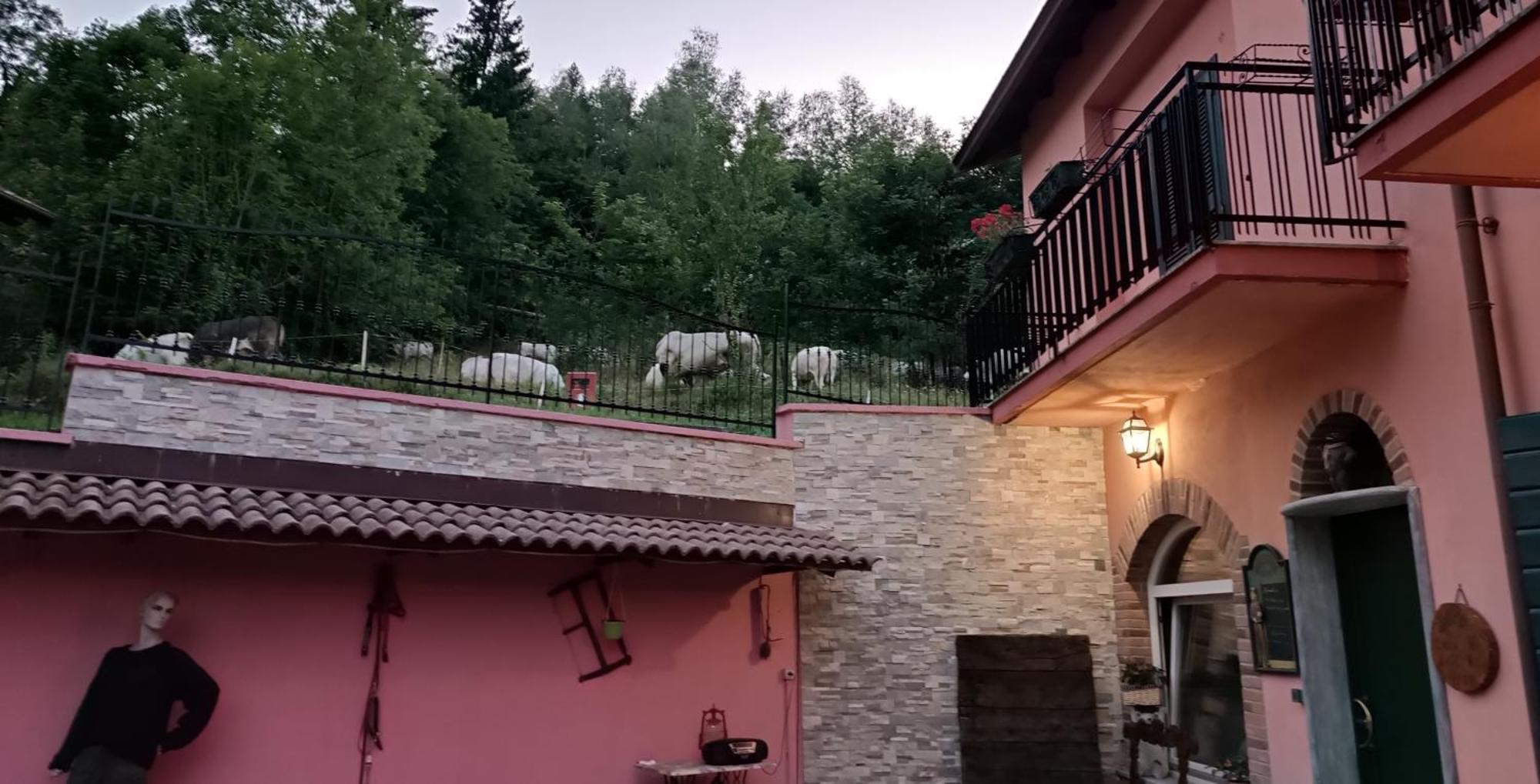 B&B Casa Dell'Orso Lurisia Exterior foto